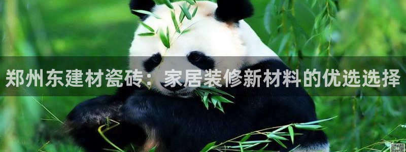 杏鑫娱乐官方网站客户端