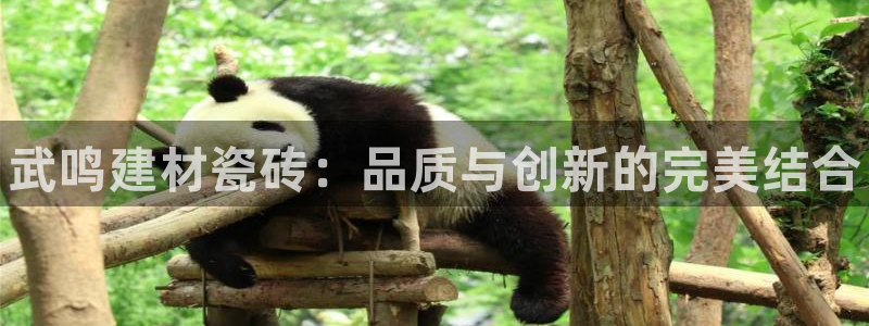 杏鑫平台代理注册登录不了怎么办呀