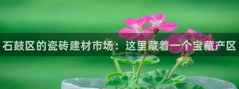 杏鑫官方平台怎么样啊知乎