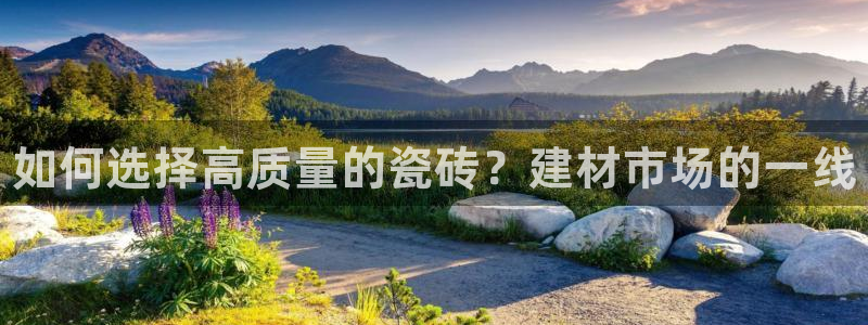 杏鑫平台招商电话号码是多少