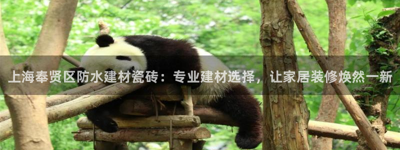 杏鑫官网注册账号是什么意思