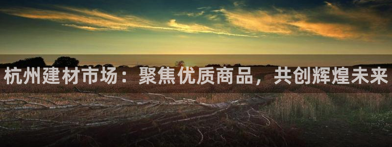 杏鑫平台怎么样