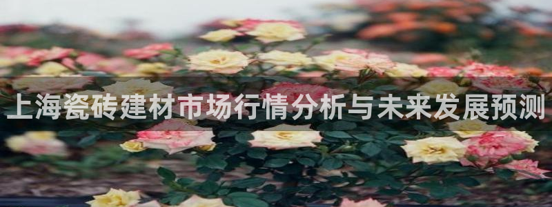 杏鑫平台正规吗是真的吗