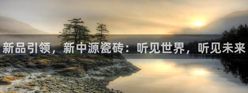 杏鑫平台代理注册流程视频