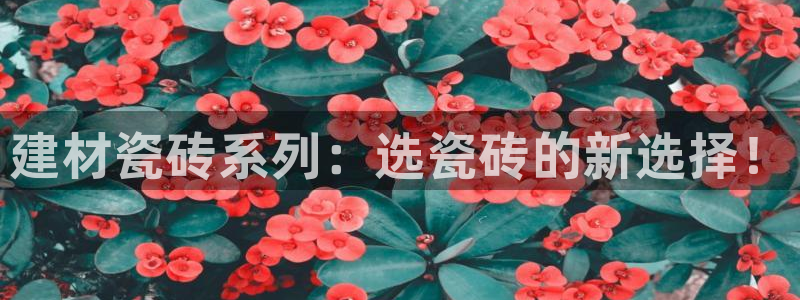 杏鑫手机客户端怎么下载