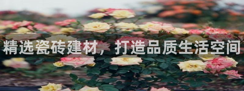 杏鑫注册登录代理公司