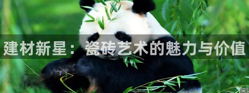 杏鑫注册登录代理公司