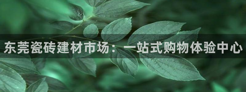 杏鑫官方平台怎么样啊