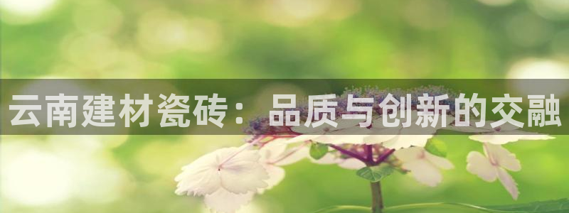 杏鑫官网注册账号密码忘了