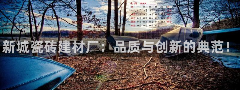 杏鑫平台代理注册流程图