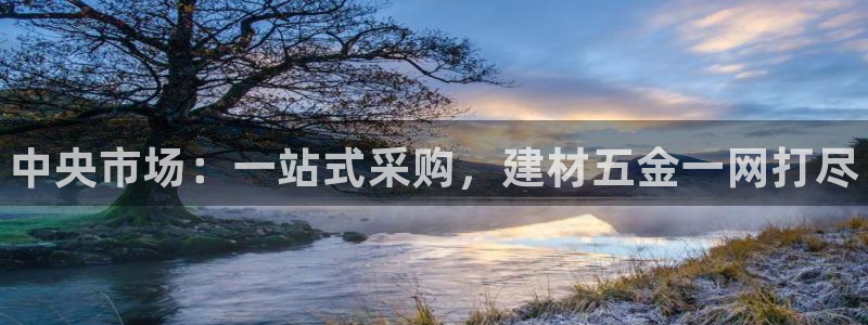 杏鑫官网注册账号